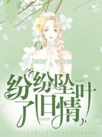 纷纷坠叶了旧情