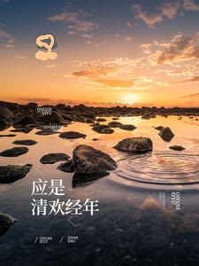 应是清欢经年