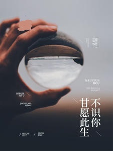 你是我人生的插曲