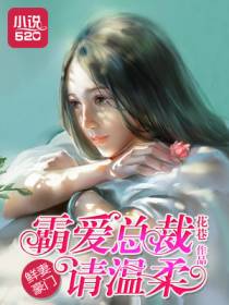 总裁宠妻99天