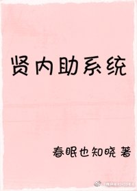 贤内助系统