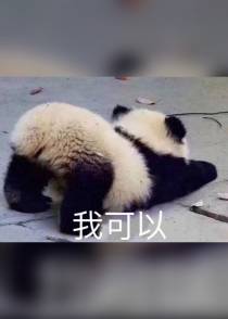 竖直弯勾