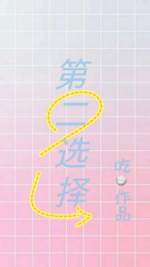 第二选择