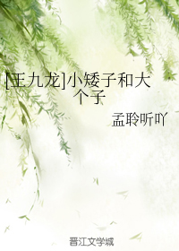 [王九龙]小矮子和大个子