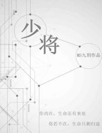 少将
