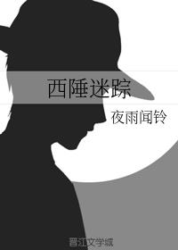 西陲迷踪