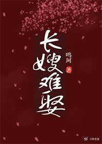 长嫂难娶