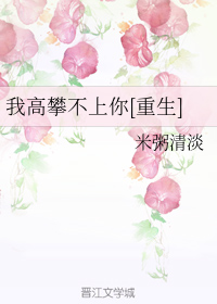 我高攀不上你[重生]
