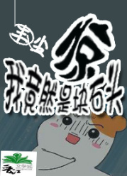 惊！我竟然是块石头