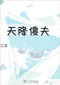 天降傻夫