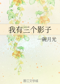 我有三个影子（下）