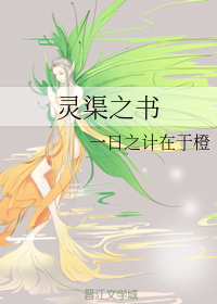 灵渠之书