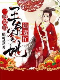 一胞双胎：王爷爹地追妻忙