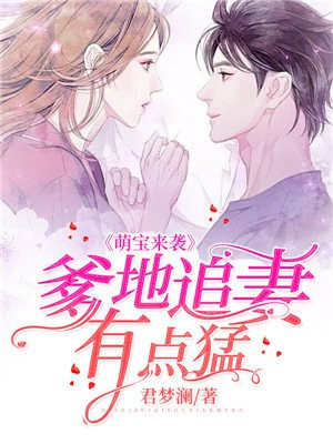 萌宝来袭：爹地追妻有点猛
