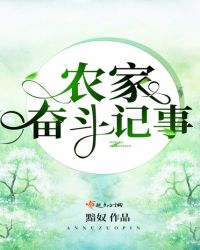 农家奋斗记事
