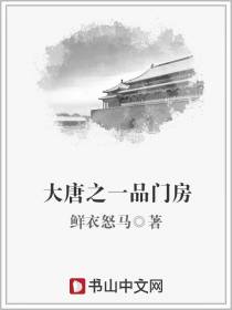 大唐之一品门房