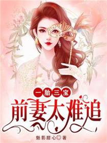 一胎三宝：前妻太难追