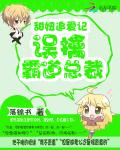 甜妞追爱记：误擒霸道总裁