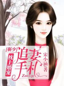 枕上婚宠：靳少追妻手札