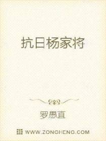 杨家抗日风云录