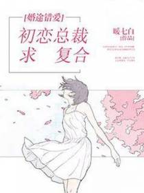 婚途错爱：初恋总裁求复合