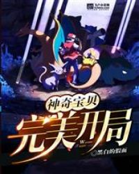 神奇宝贝：完美开局