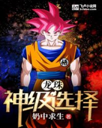 龙珠：神级选择