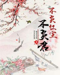 不负红尘不负君