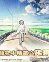 宠物小精灵之拂晓
