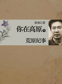 你在高原 第九部：荒原纪事