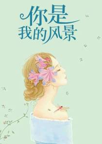 你是我的风景林辛言