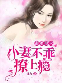 沈墨泽叶南栀