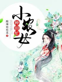 蔡圆圆的言情小说