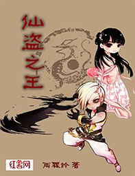仙盗之王