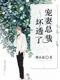 沐暖暖慕霆枭