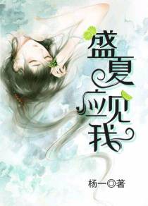 盛夏应见我席铮林盛夏
