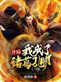 诸葛亮小说