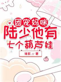顾梦陆夜寒
