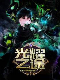 陆沉小说