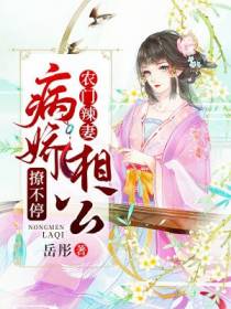 顾秀沈辞