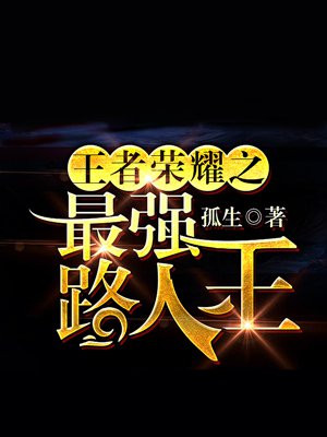 王者荣耀之最强路人王杨一