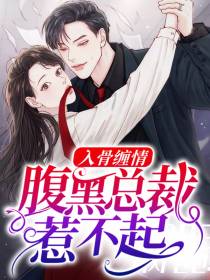 腹黑总裁惹不起苏安冷千爵