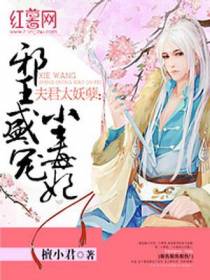 邪王盛宠小毒妃