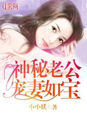 神秘老公宠妻如宝