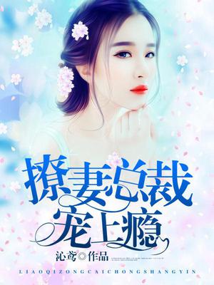 撩妻总裁宠上瘾