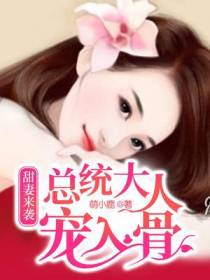 甜妻来袭：总统大人宠入骨