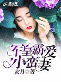 军皇霸爱小蛮妻
