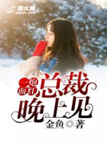 一炮而红：总裁晚上见