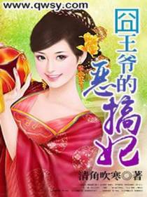 囧王爷的恶搞妃