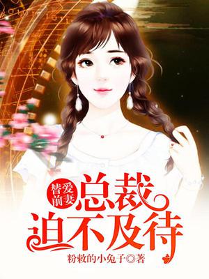 替爱前妻:总裁迫不及待